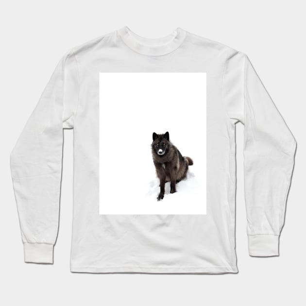 Black Wolf in winter Long Sleeve T-Shirt by Jim Cumming